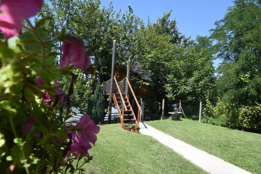 Banja Koviljača Holiday Home Kucica Na Drvetu المظهر الخارجي الصورة